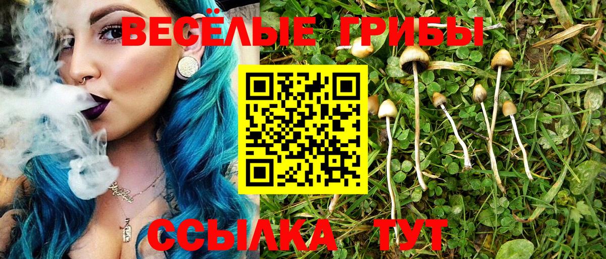 продажа наркотиков  Вход с VPN  Прохладный  Галлюциногенные грибы Magic Shrooms 