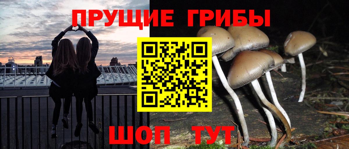 МДМА Прохладный
